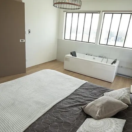 8 Pers, Jacuzzi & Sauna 别墅 Andolsheim